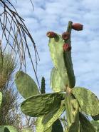 22529015_10210896033456986_1510131110320020842_o