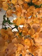 22555365_10210896033616990_5963088774040143709_o