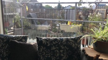 062e31b9-85d8-4b58-91e9-6067736879c6