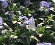 690fadd7-753d-4349-8482-199d95679fa2