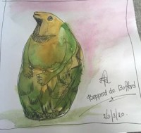 91453527_223869885488636_1065250285403823120_n