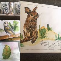 91453527_223869885488636_1065250285403823120_n