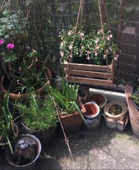 90A3C377-CDF2-4F29-91C8-4B7D1C0BA15D