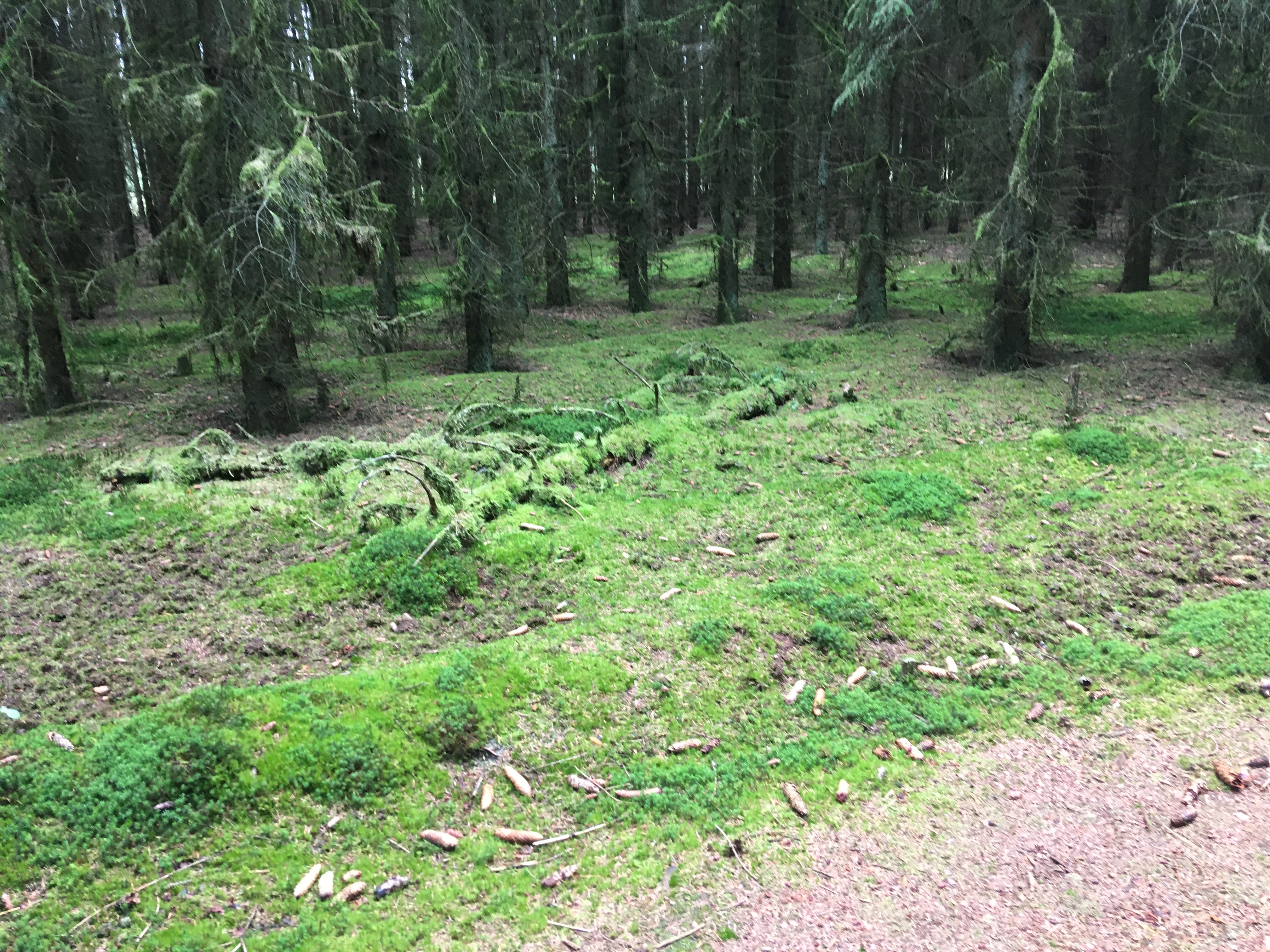 IMG-1573