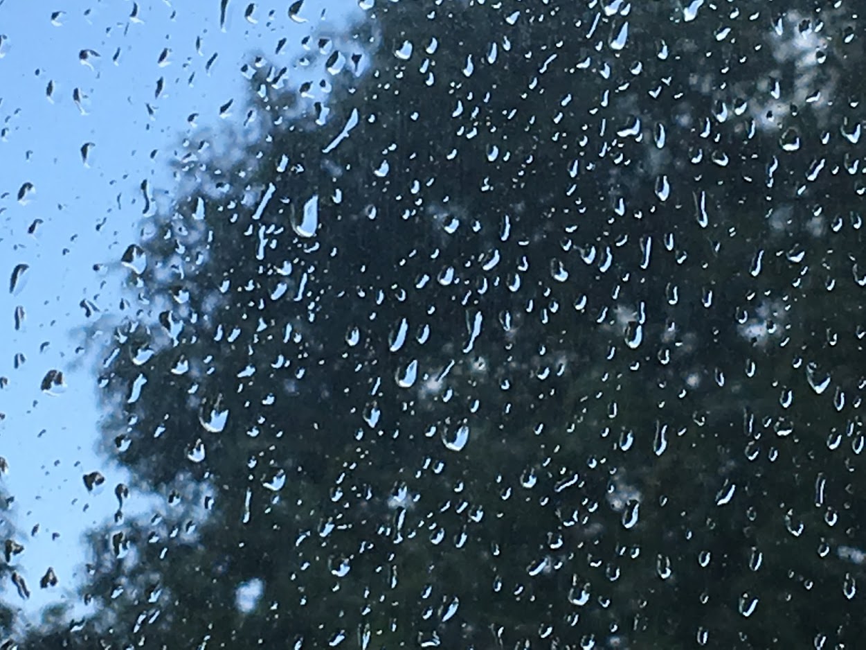 regen