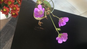 F9376470-6595-4135-A7D9-7E9FFB3EE2EF